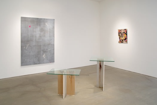 Skin Jobs​, installation view
