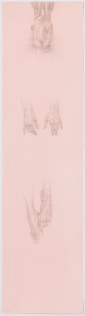 A drawing including the head of a hare and floating human hands and feet