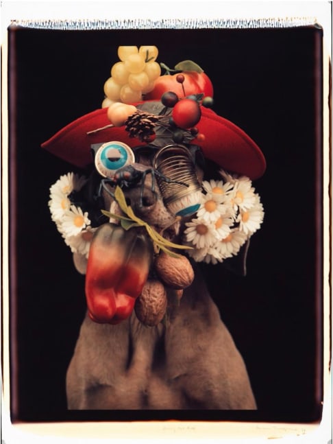 Daisy Nut Ball, 1994