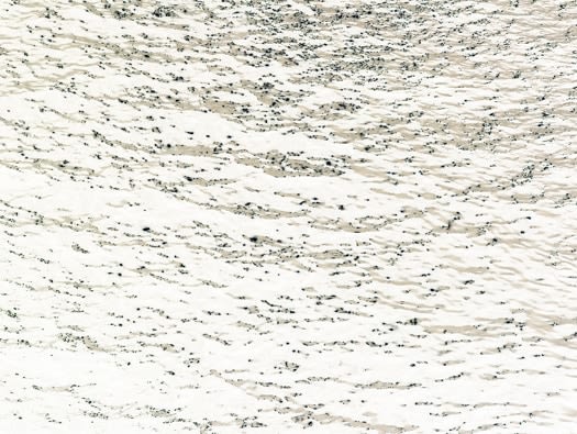 Untitled, 2007