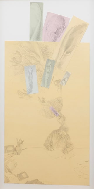 An eight part drawing
