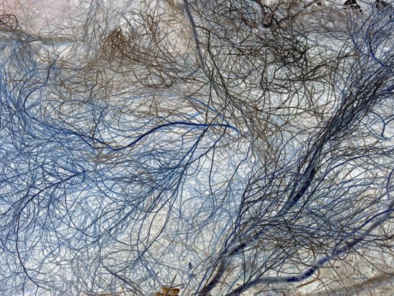 IPS #5975 (Scrub #6), 2014