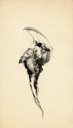 Untitled, n.d.