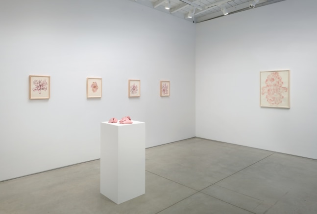 Installation view of Hannah Wilke Flowers​​​​​​​, 2023