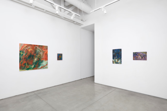 Installation view of Tyler Vlahovich​​​​​​​, 2021