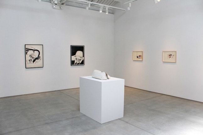 Hannah Wilke Drawings and Sculptures​, installation view