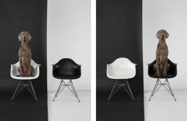 Left Right Black White, 2015