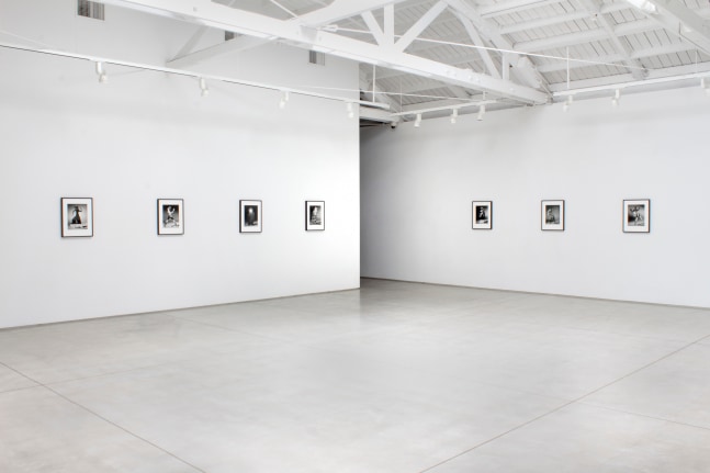 Installation view of Matt Lipps: The Body Wants to Live​​​​​​​, 2020