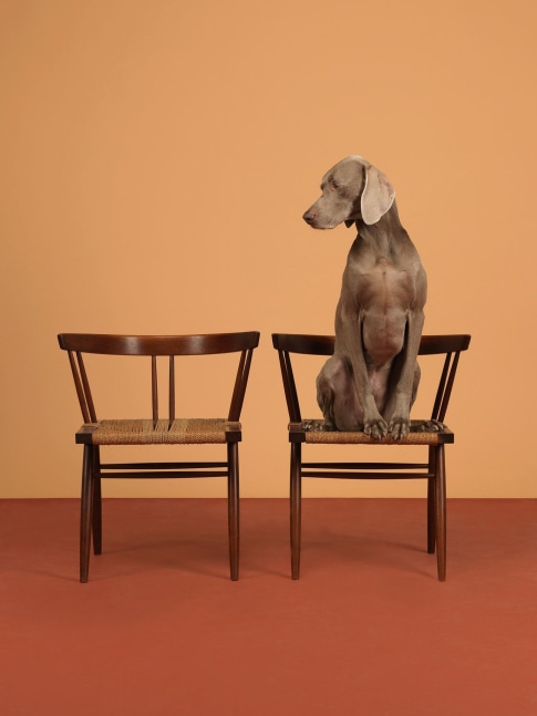 One On, 2015