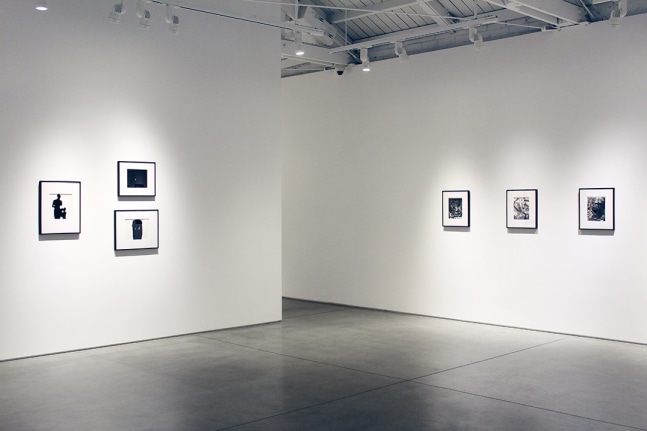 Harry Callahan &amp; Robert Heinecken Figures in Transformation​, installation view
