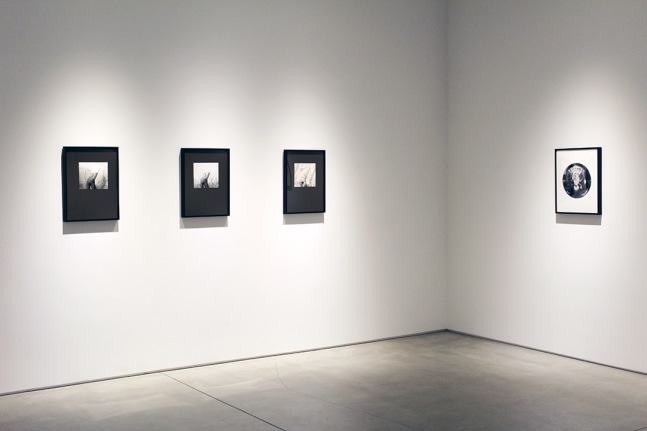 Harry Callahan &amp; Robert Heinecken Figures in Transformation​, installation view