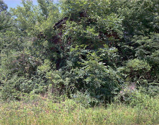 Building with False Brick Siding, Warsaw, Alabama, 1994