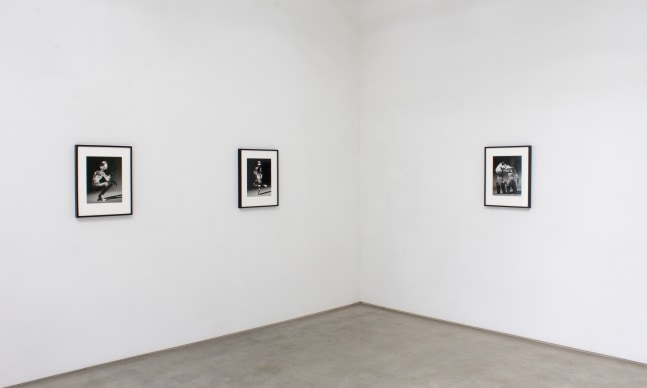 Installation view of Matt Lipps: The Body Wants to Live​​​​​​​, 2020