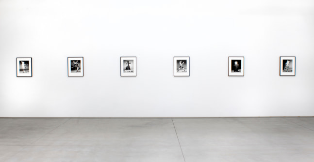Installation view of Matt Lipps: The Body Wants to Live​​​​​​​, 2020