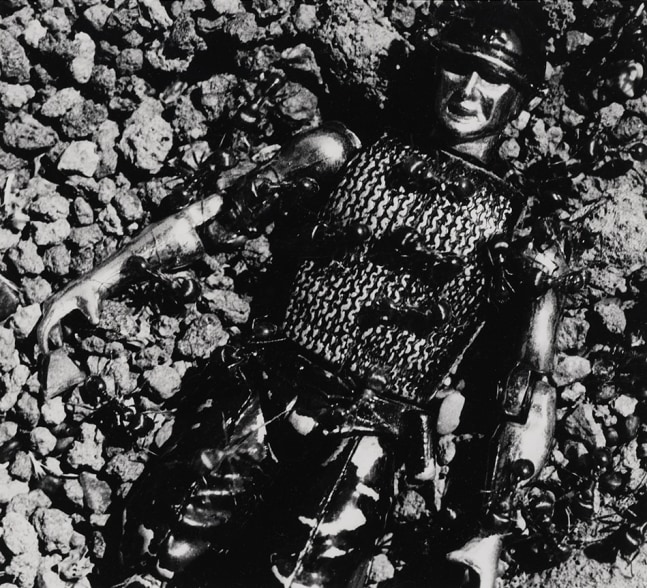 David Wojnarowicz  Untitled (Control) from the Ant Series, 1988-89