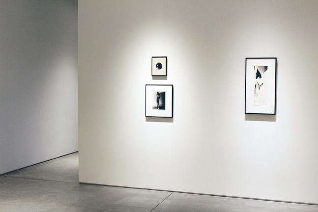 Harry Callahan &amp; Robert Heinecken Figures in Transformation​, installation view