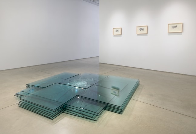 Installation image of Barry Le Va​​​​​​​, 2020