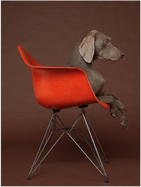 Eames Low, 2015
