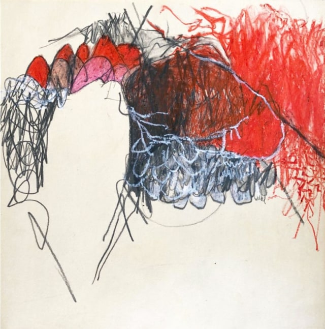 Hannah Wilke,  Untitled, c. 1966