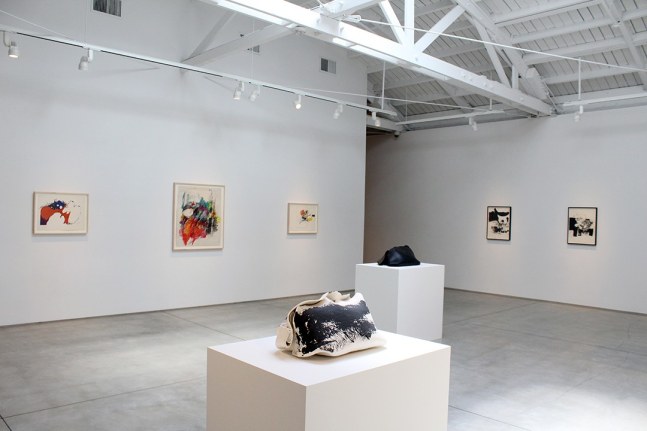 Hannah Wilke Drawings and Sculptures​, installation view
