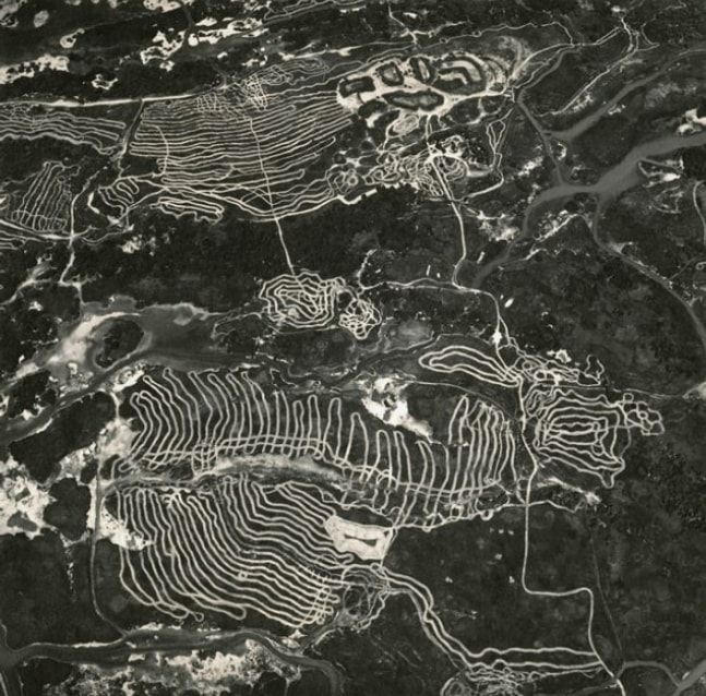 Waterfowl Nesting Site and Wetland Area Restoration near Sutter Buttes, California, 1993