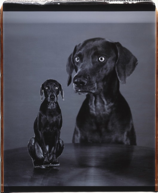 Splitting Image, 2005