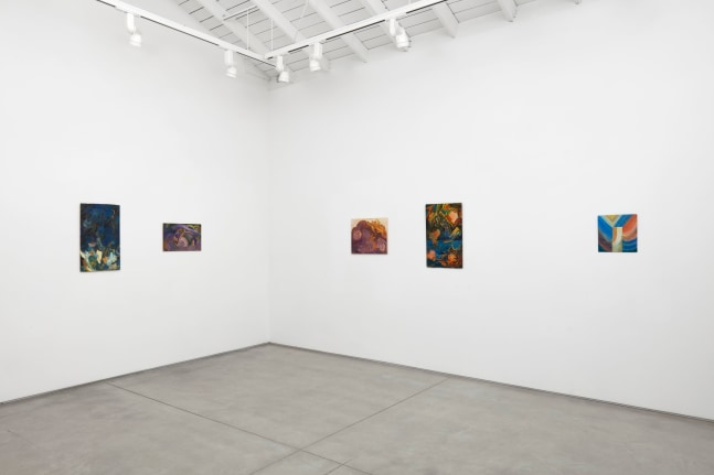 Installation view of Tyler Vlahovich​​​​​​​, 2021