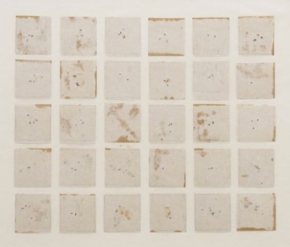 Seed Calendar, River Tree (SBCA), 1993
