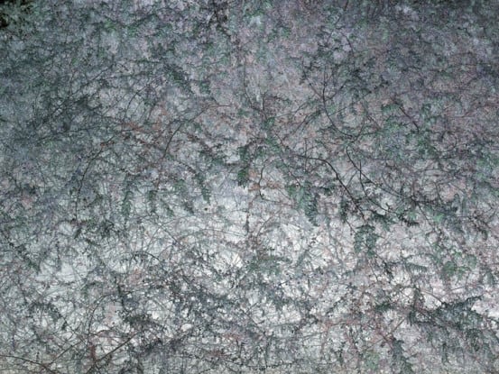 Untitled, 2008/printed 2014