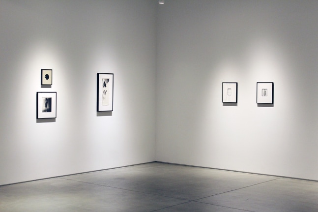 Harry Callahan &amp; Robert Heinecken Figures in Transformation​, installation view