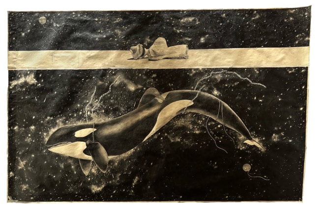 A drawing featuring a killer whale