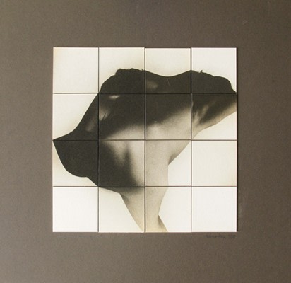 Figure/Flower, 1968