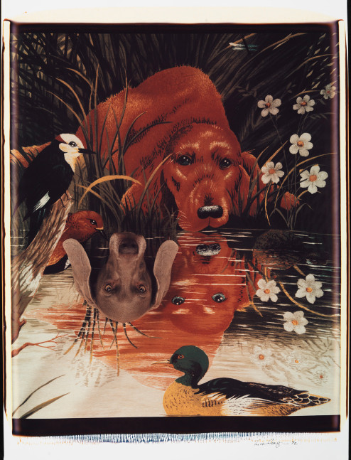 Underdog, 1992
