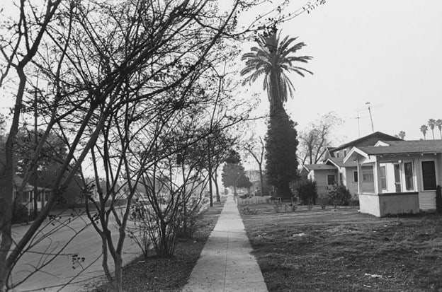 Lee Friedlander