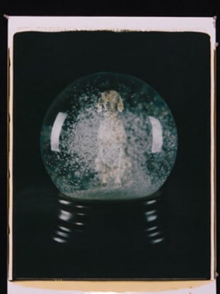 Nostalgia, 2006