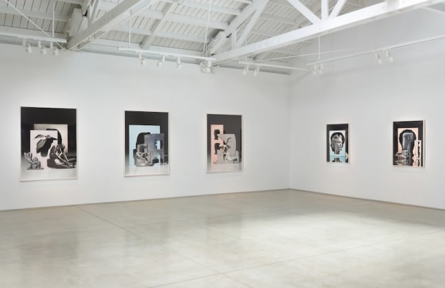 Matt Lipps Looking Through Pictures​, installation view
