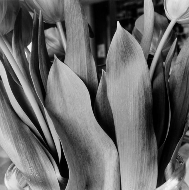 New City, New York, 1994/printed c. 2000s