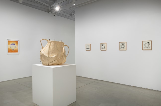 Installation view of Rosemary Mayer: Noon Has No Shadows 6