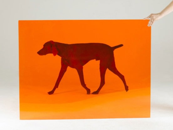 Card, 2008