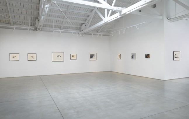 Installation view of Jay DeFeo Into Other Worlds​​​​​​​, 2023