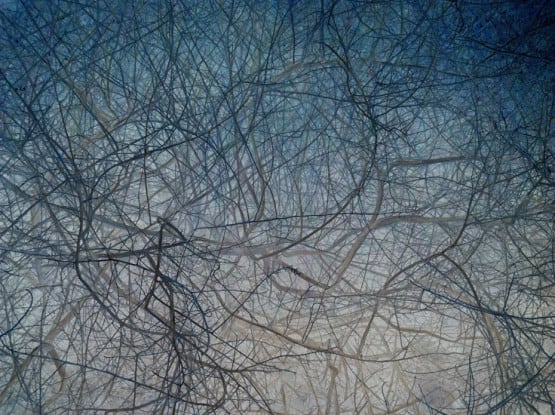 IPS #9875 (Scrub #4), 2014