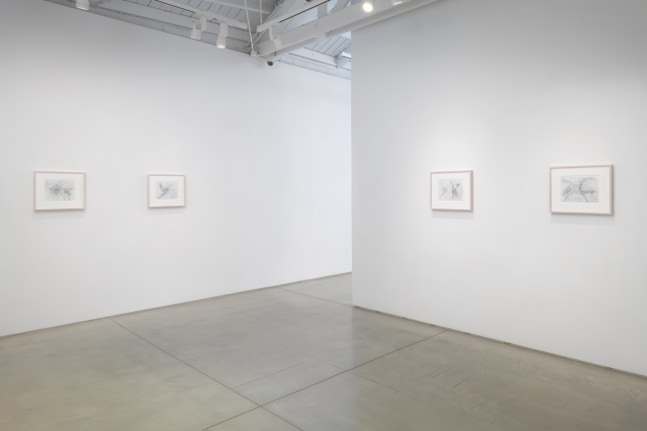 Installation view of Lee Bontecou: A Constellation of Drawings 1982-1987​​​​​​​, 2021