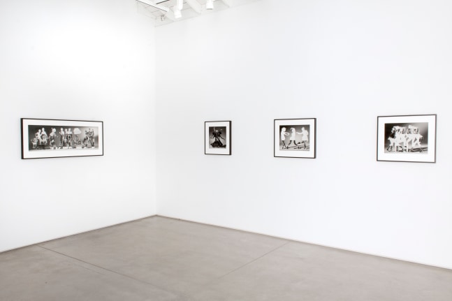 Installation view of Matt Lipps: The Body Wants to Live​​​​​​​, 2020