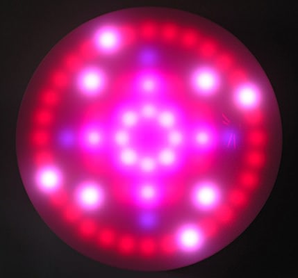 An image of a work by Leo Villareal called 'Solaris'