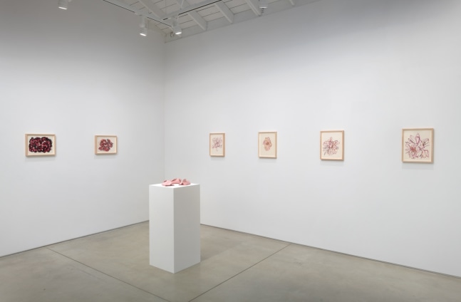 Installation view of Hannah Wilke Flowers​​​​​​​, 2023