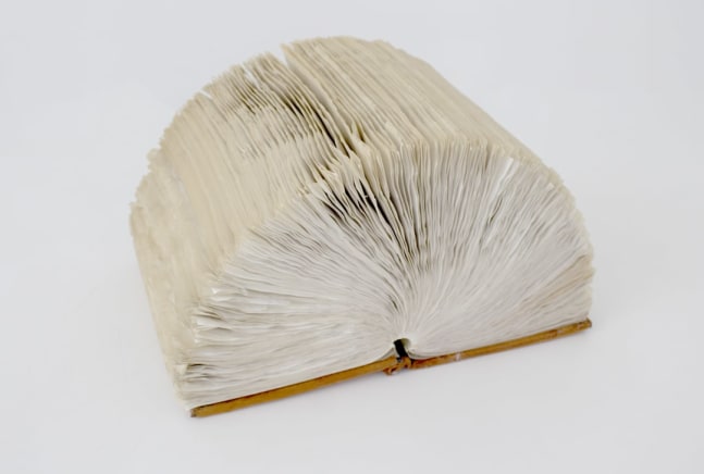 Helène Aylon  The Book That Will Not Close