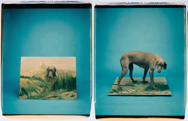 On and In the Landscape, 1988
