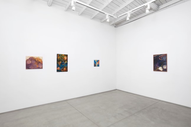 Installation view of Tyler Vlahovich​​​​​​​, 2021