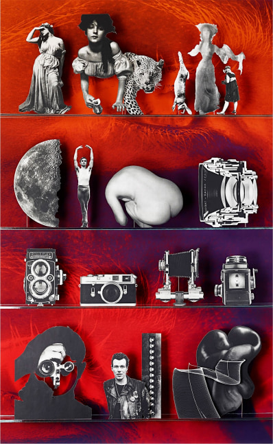 Camera, 2013