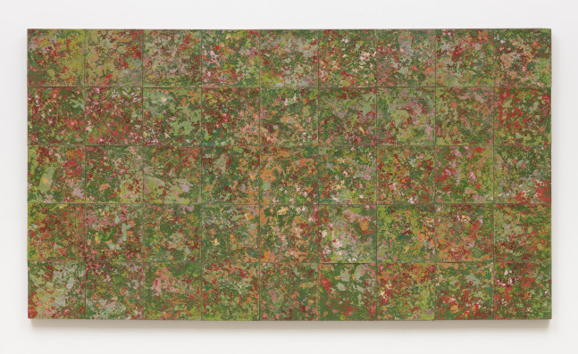 Xochitl II, 1988